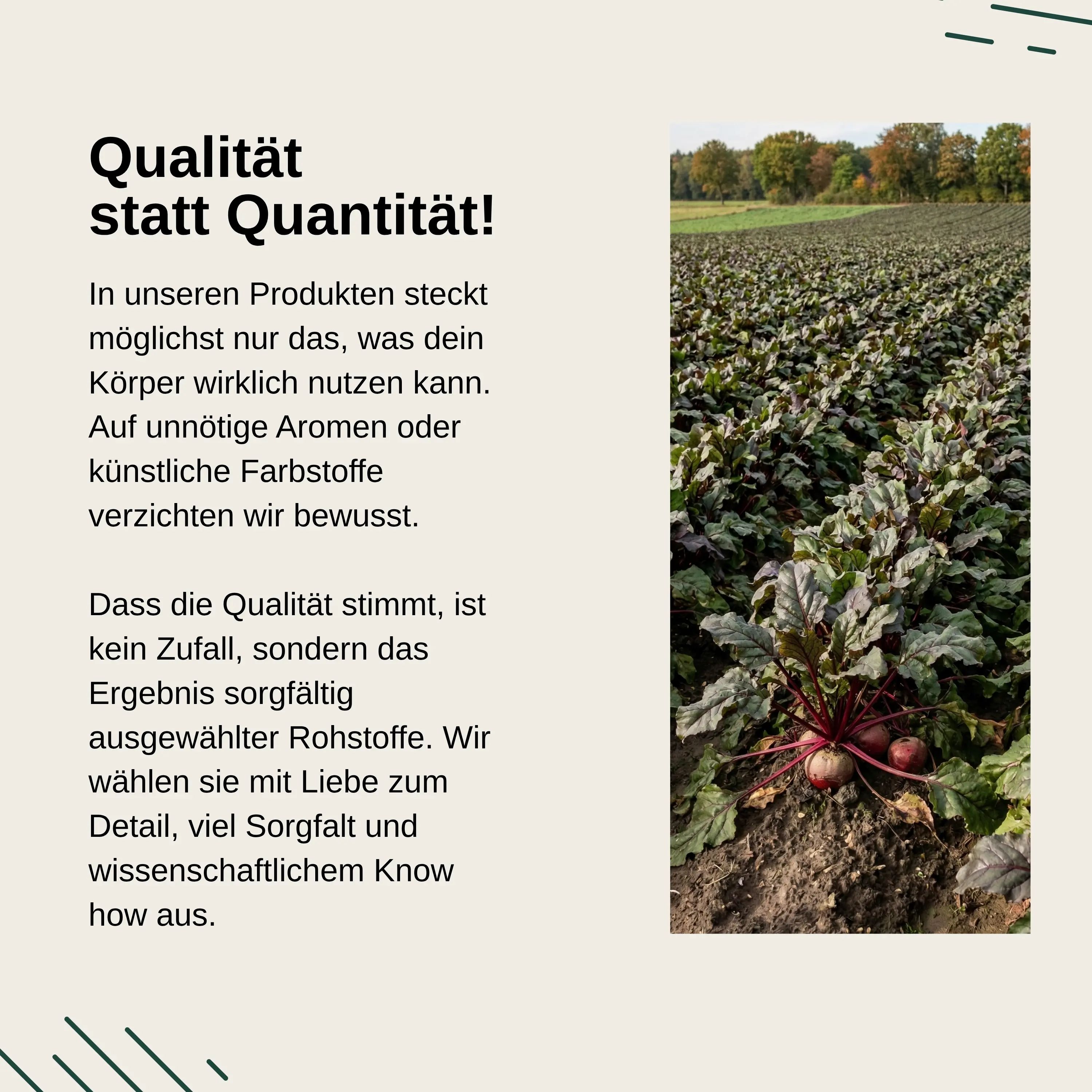 Campo di barbabietole rosse con piante. Vita Elements: Qualità anziché quantità, materie prime accuratamente selezionate.