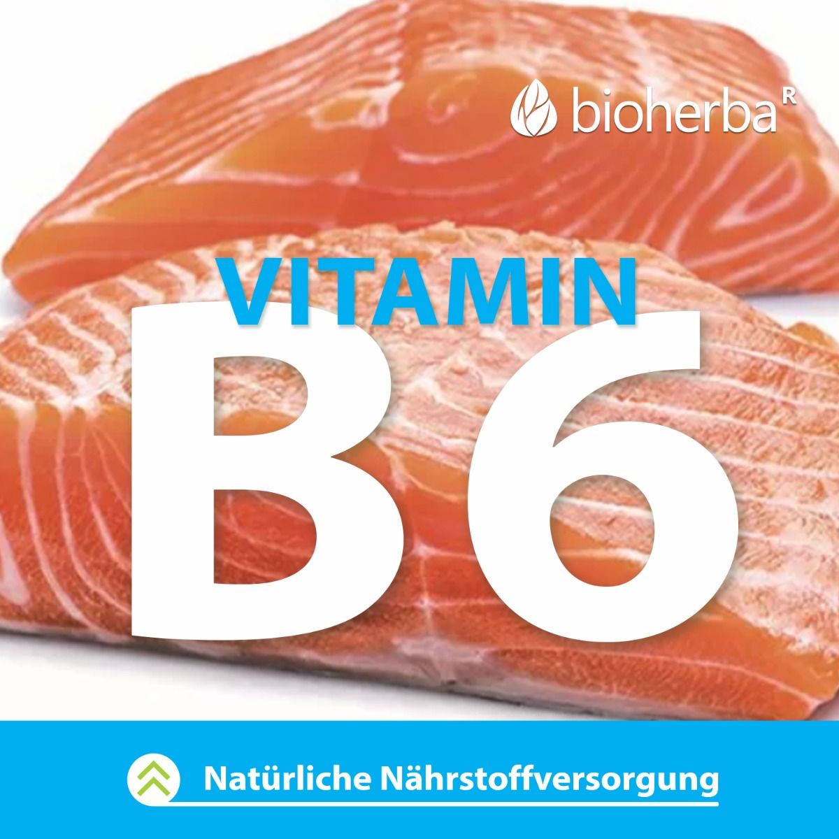 Filetti di salmone con testo: Vitamina B6. Testo: Apporto nutrizionale naturale. Logo Bioherba.