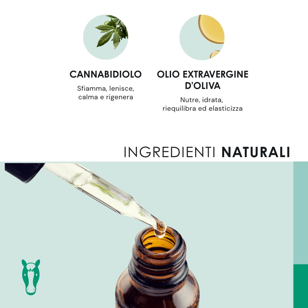 Flacone CBD Oil Horse. 0% THC, spettro completo, 100% naturale, adatto a tutte le taglie.