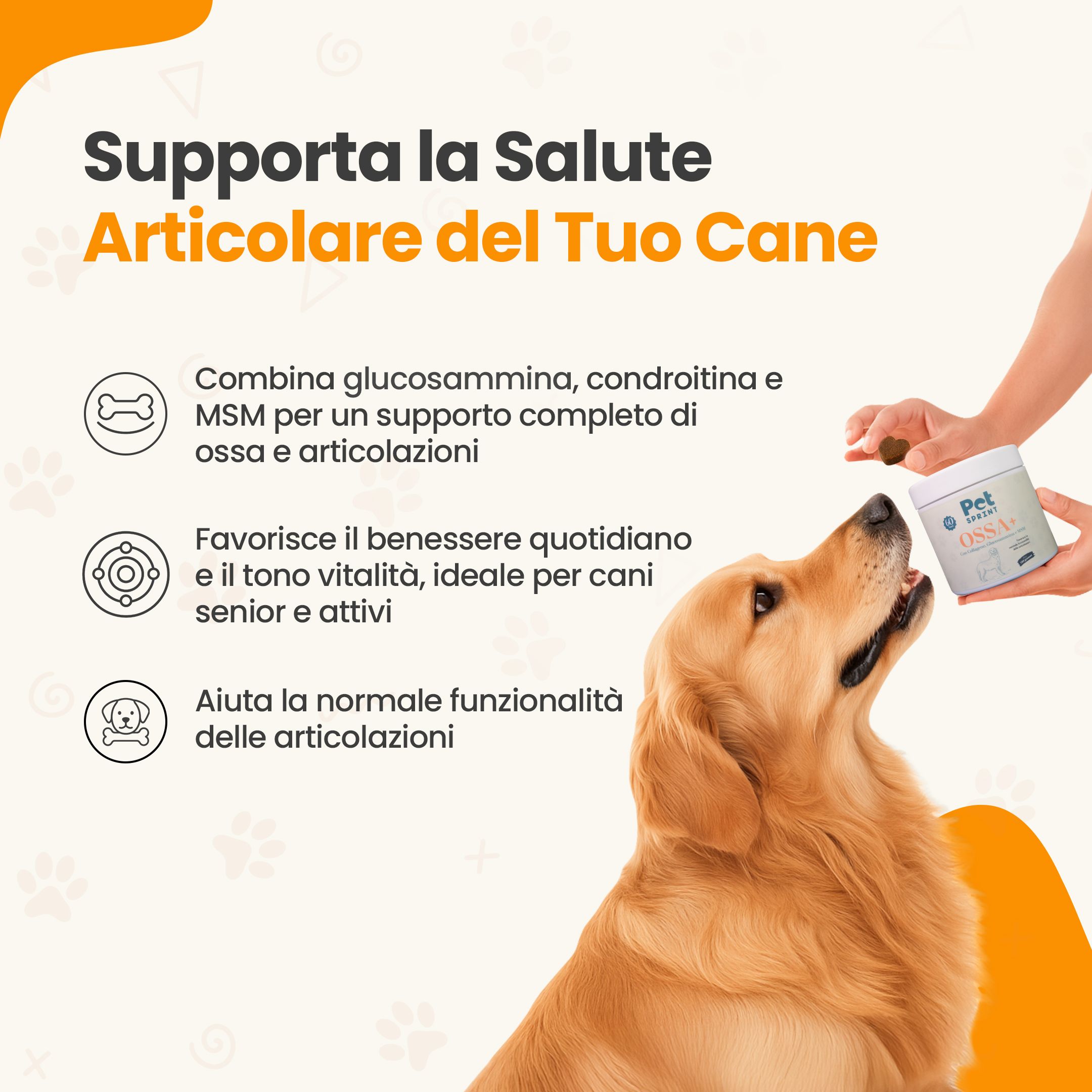 Golden Retriever riceve il prodotto da una mano. Infografica con vantaggi: glucosamina, condroitina, MSM, benessere, funzione articolare.