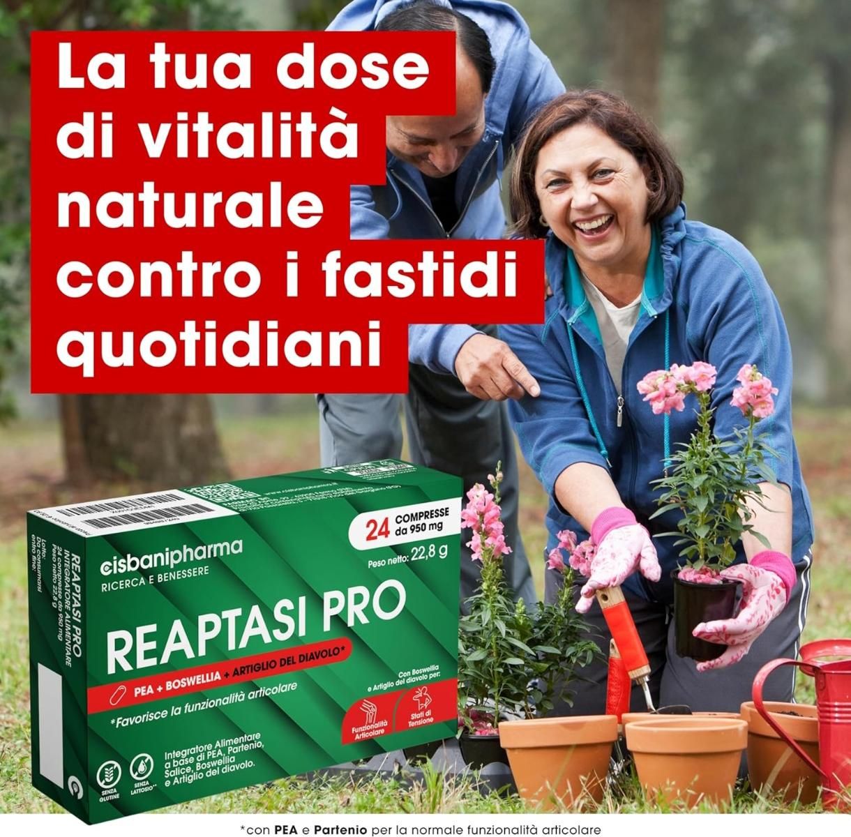 Scatola Reaptasi PRO, 24 compresse. Coppia che fa giardinaggio. Testo rosso: Vitalità naturale contro i fastidi quotidiani.