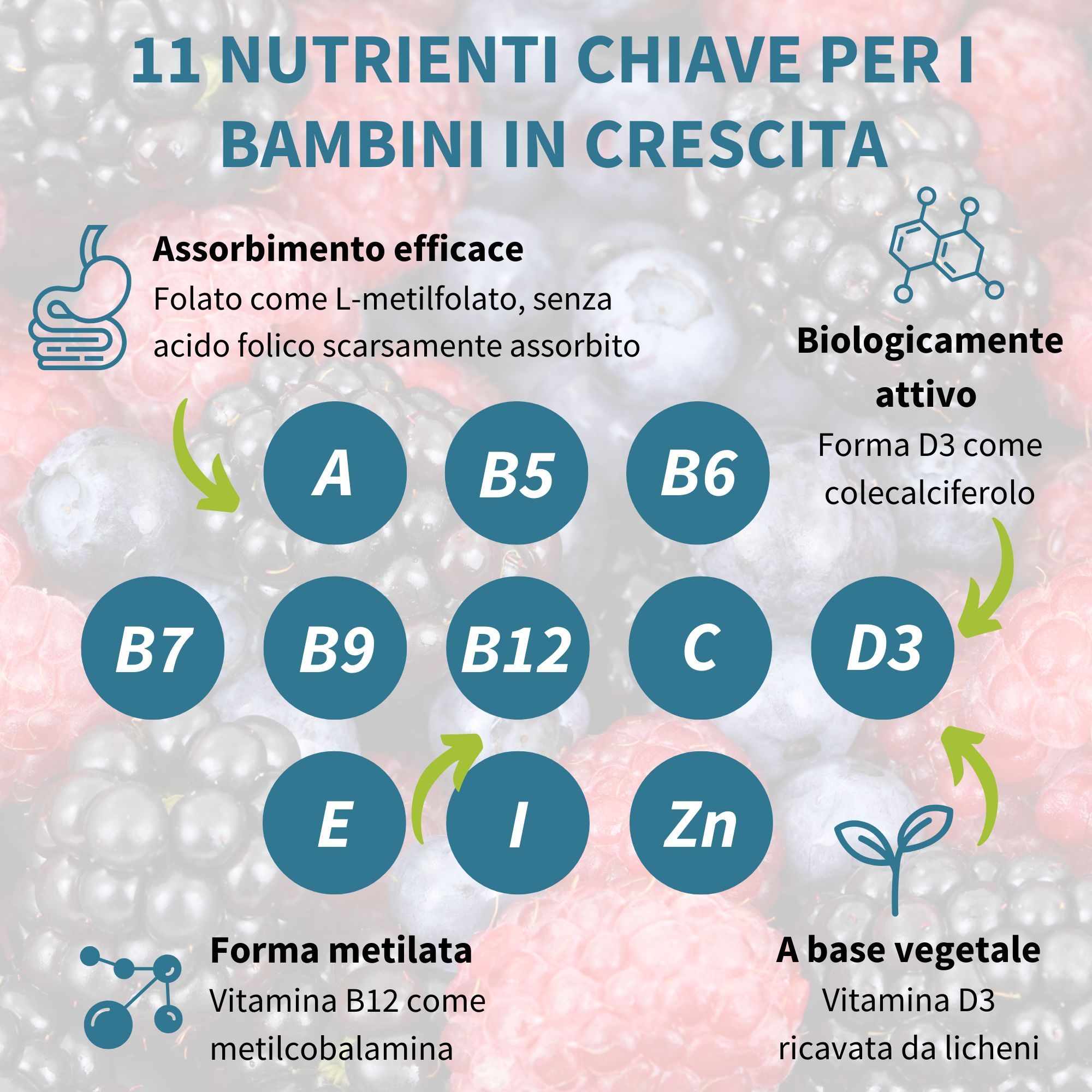 Grafico con 11 nutrienti per bambini. Vitamine A, B5, B6, B7, B9, B12, C, D3, E, I, Zn. L-metilfolato, metilcobalamina, D3 da licheni.