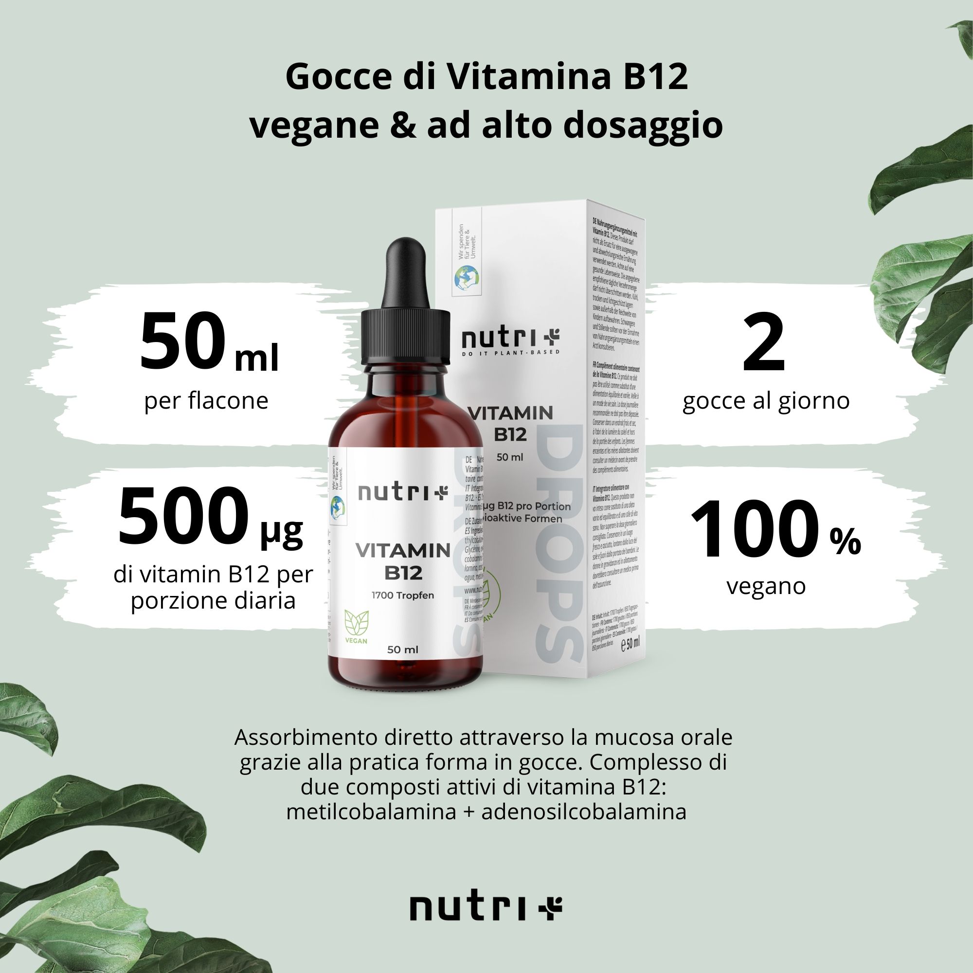 Gocce di Vitamina B12 Nutri+: 50ml, 500µg B12 per porzione, 100% vegan.