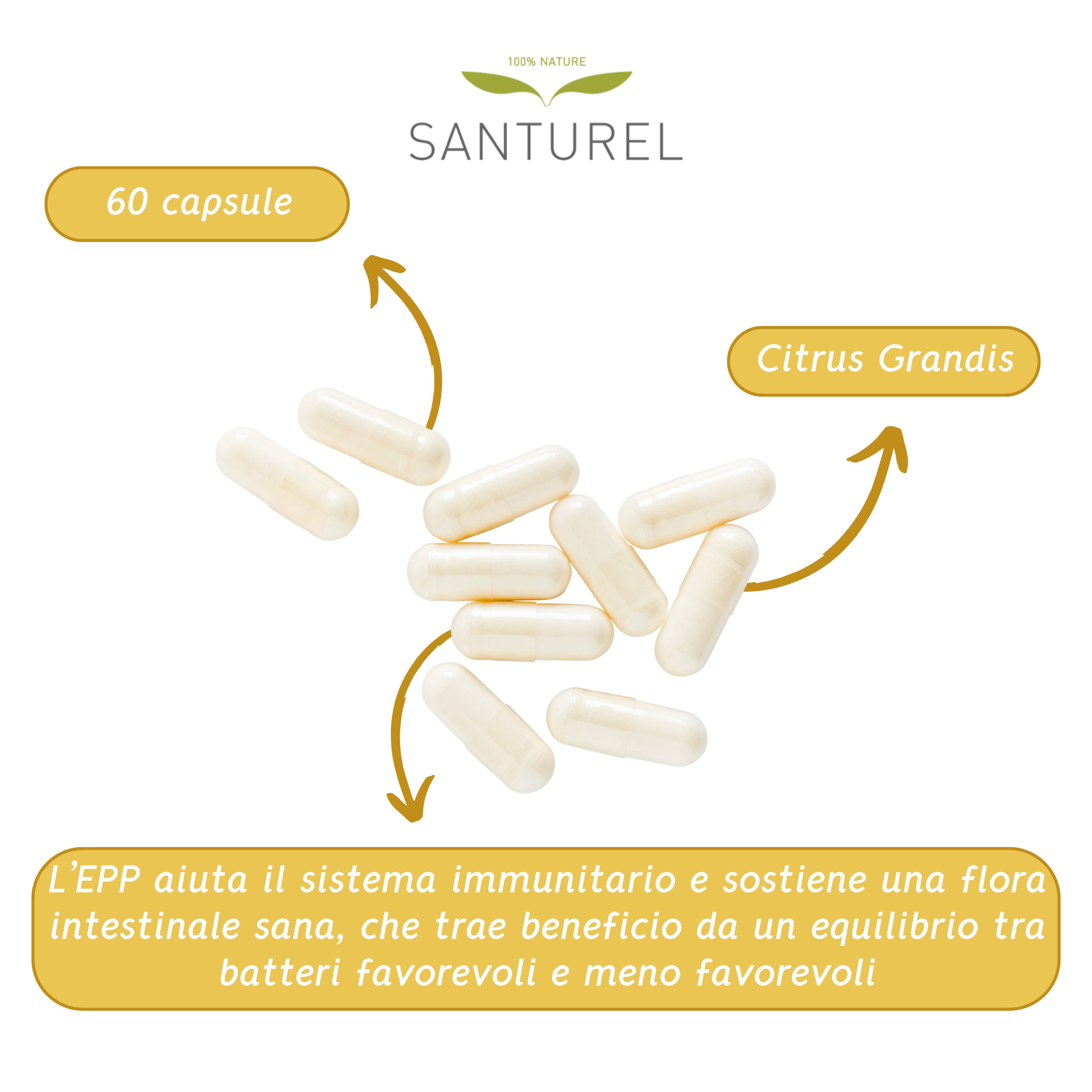 Santurel EPP300 Estratto di semi di Pompelmo – sistema immunitario  – equilibrio microbico - 60