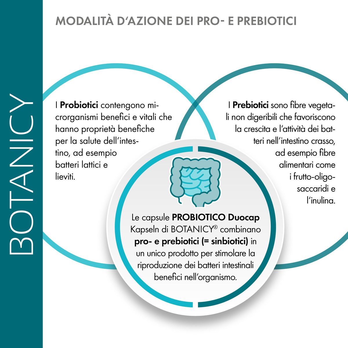 Infografica. Modalità d'azione di pro- e prebiotici. Probiotici, prebiotici e le capsule PROBIOTICO DuoCap.