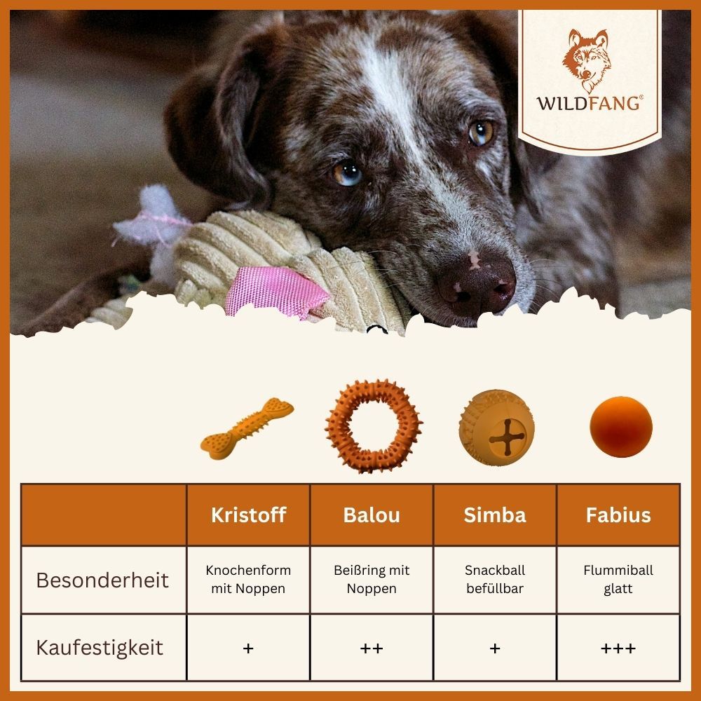 Cane con diversi giocattoli. Anello di dentizione "Balou" con borchie. Panoramica dei prodotti con raccomandazione di acquisto.