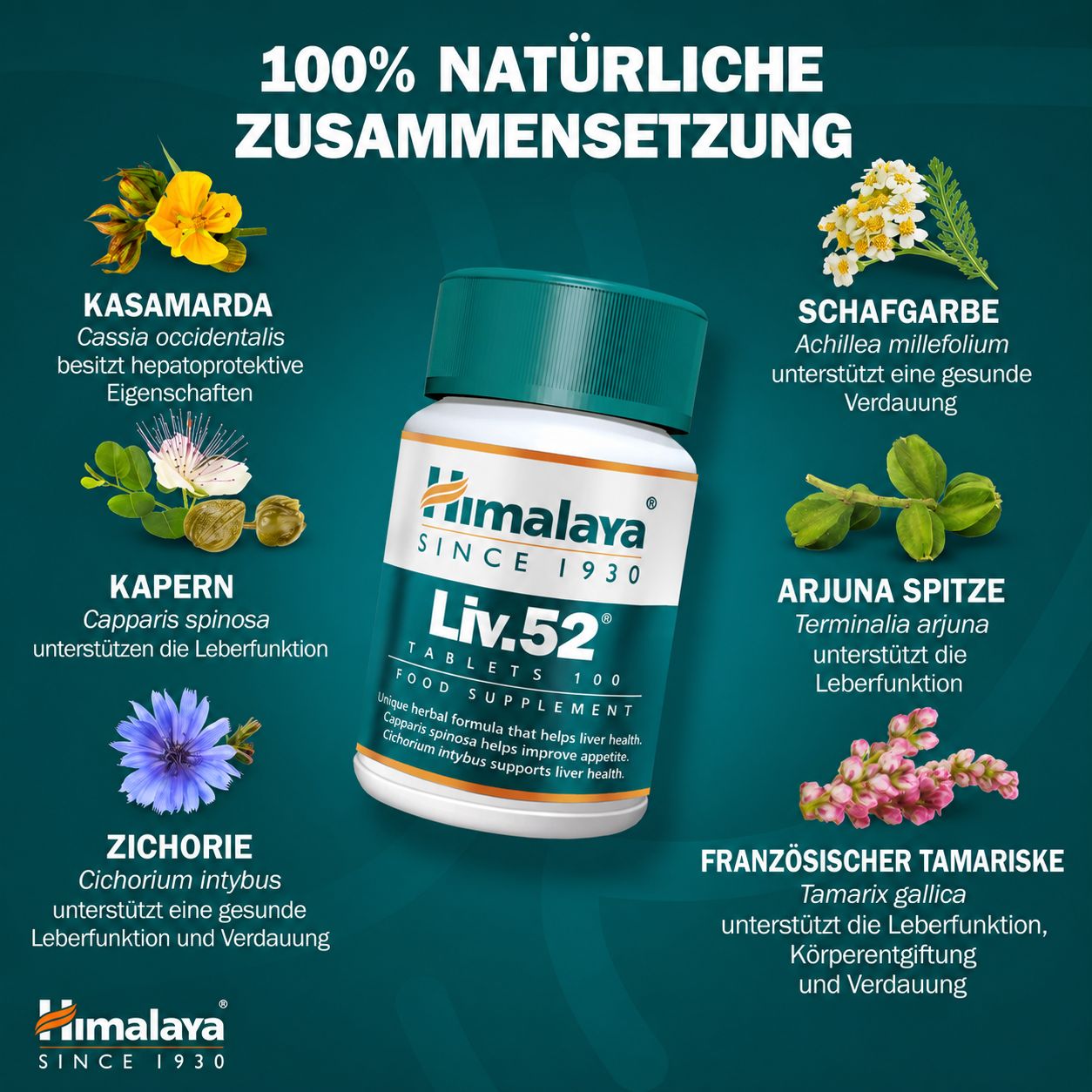 Himalaya Liv.52 Compresse: flacone circondato da 8 erbe ayurvediche.