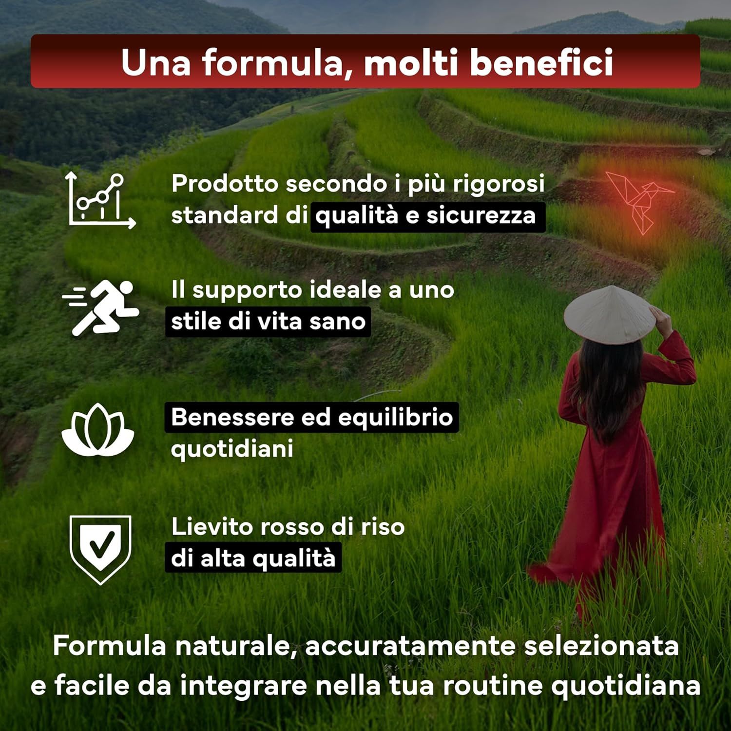 SEVENS NUTRITION Riso rosso fermentato: Formula naturale, accuratamente selezionata per la routine quotidiana.