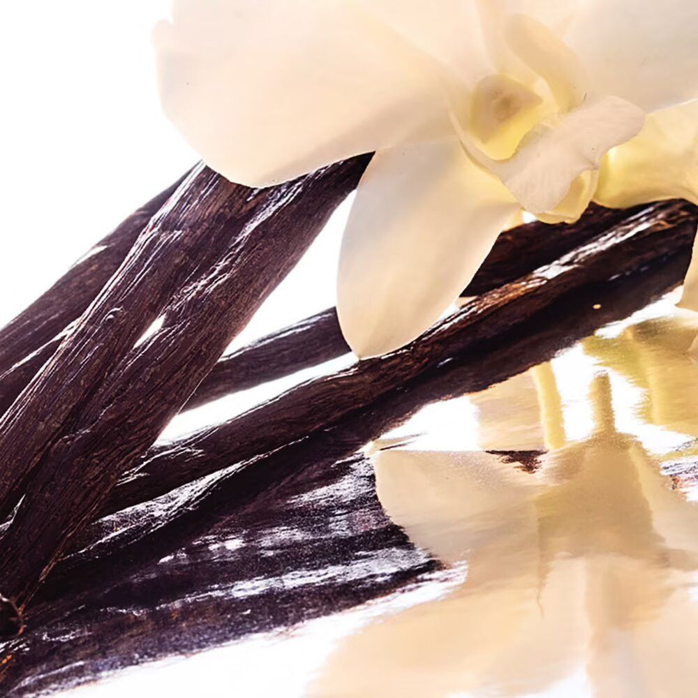 Primo piano di baccelli di vaniglia e fiore di orchidea bianca. Riflessi chiari sulla superficie. Trame e colori naturali.