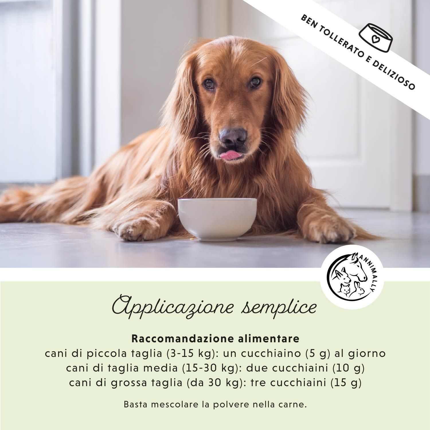 Cane accanto a una ciotola. Testo: Applicazione semplice. Raccomandazioni alimentari per cani piccoli, medi e grandi.