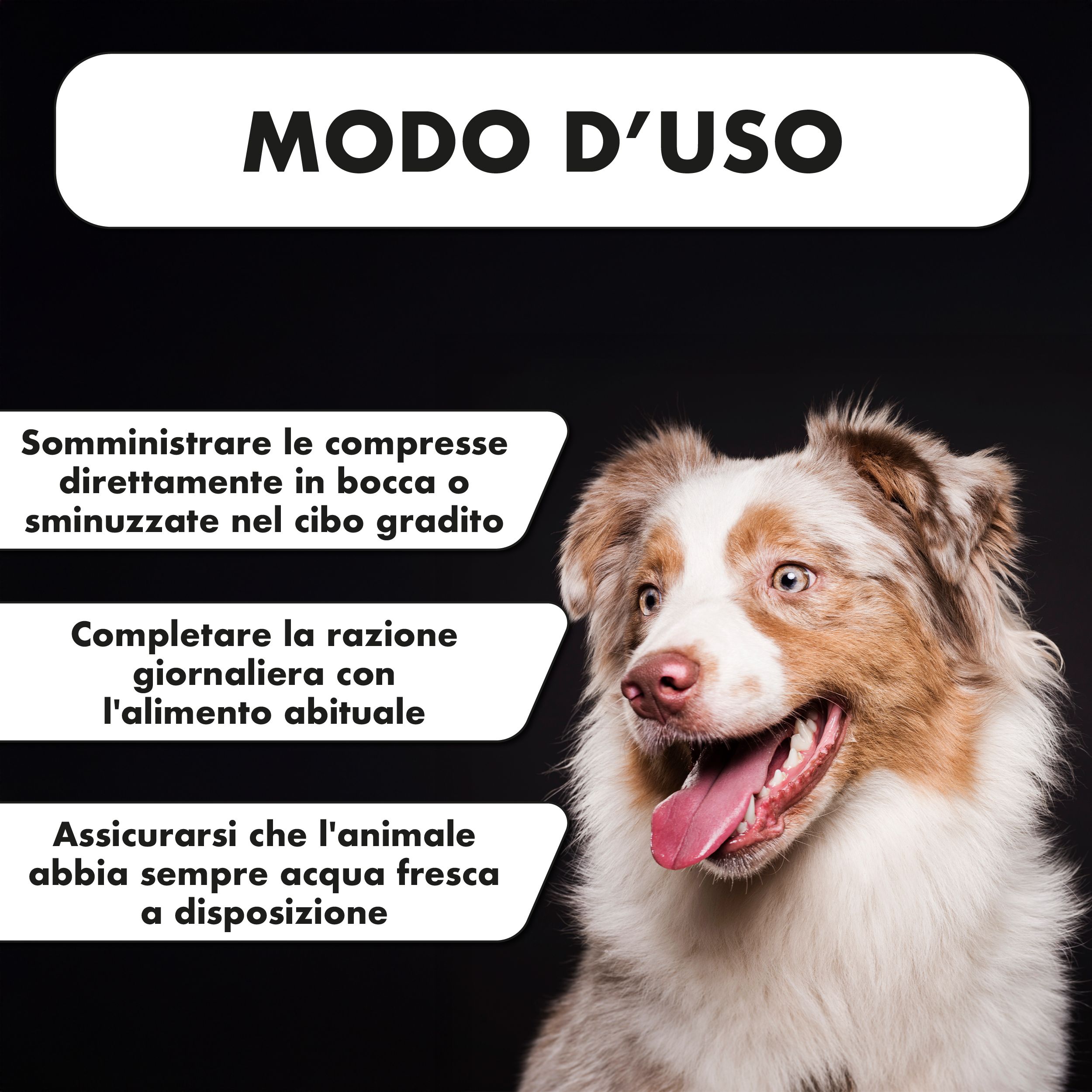 Cane. Testo: Modo d'uso. Somministrare compresse direttamente o nel cibo. Assicurare acqua fresca.