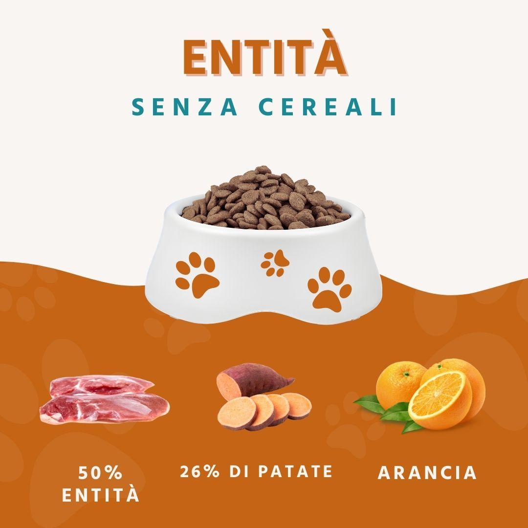 Ciotola di cibo secco per cani. Accanto, carne, fette di patate dolci e arance. Testo: Entità senza cereali.