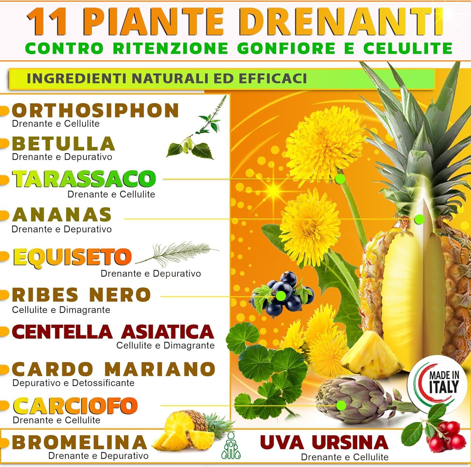 NUTREA PRO® 500ml - Diuretico drenante forte dimagrante anticellulite con 11 piante efficaci