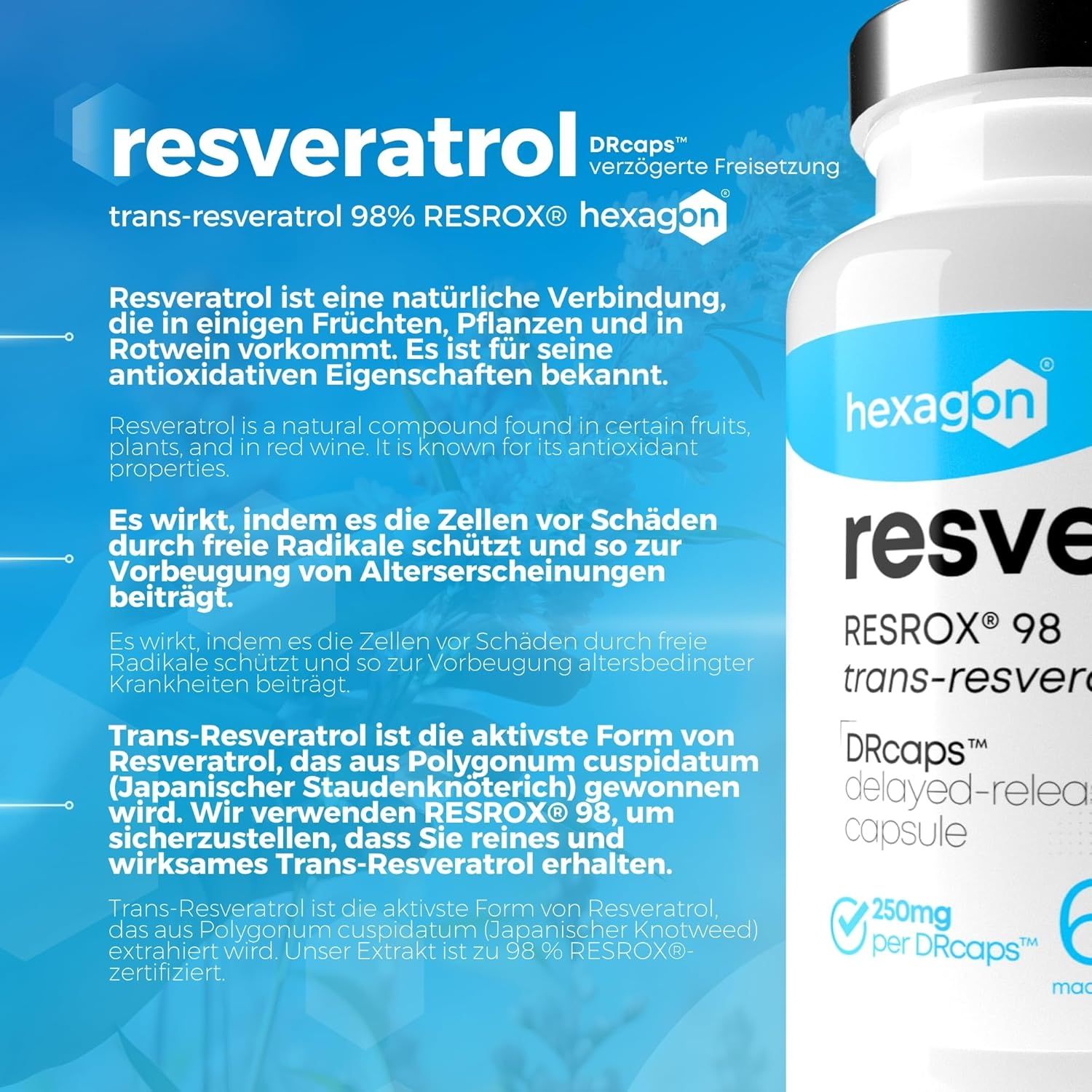 Hexagon Resveratrolo Capsula