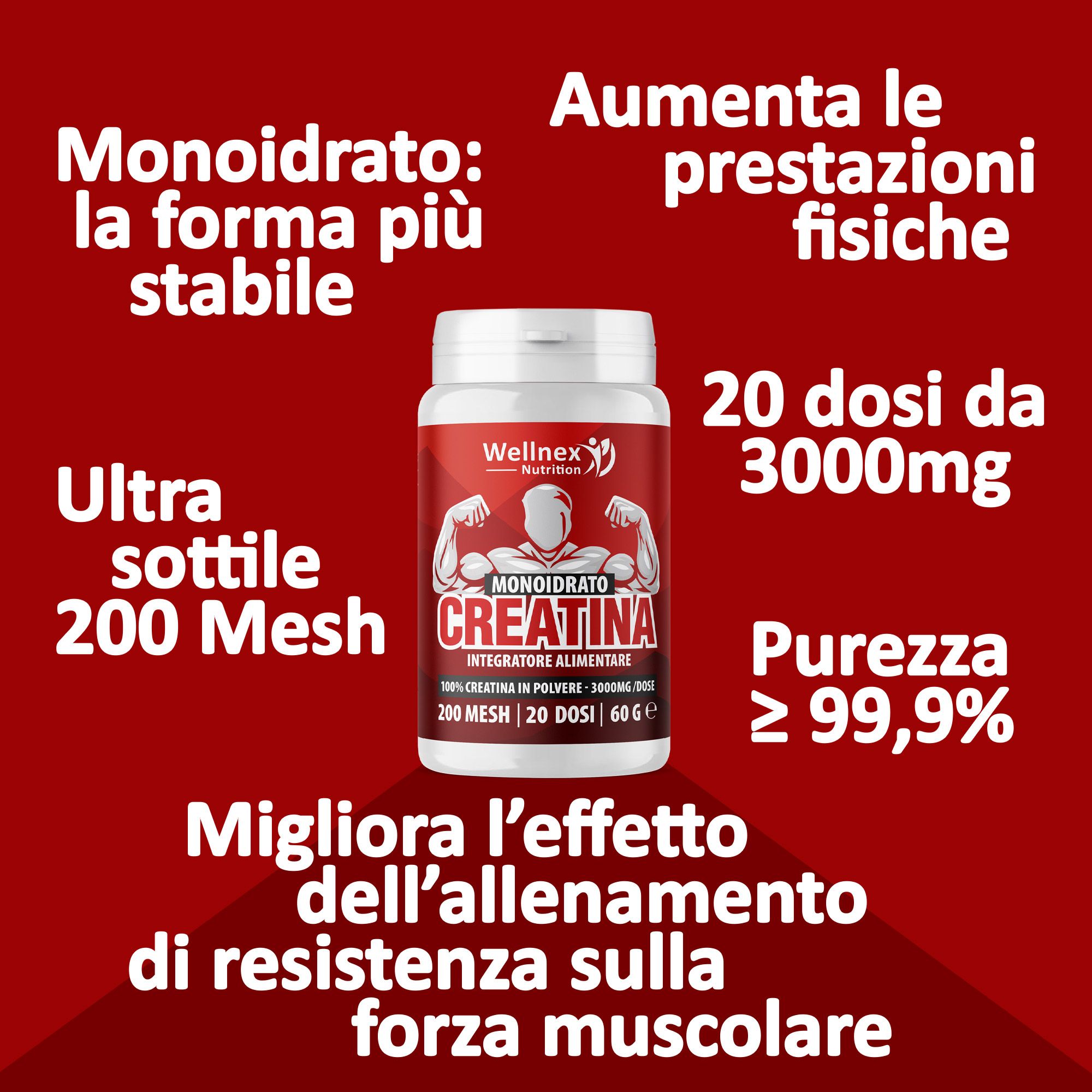 Wellnex Nutrition - Creatina Monoidrato Micronizzata | Pura in Polvere | 200 Mesh