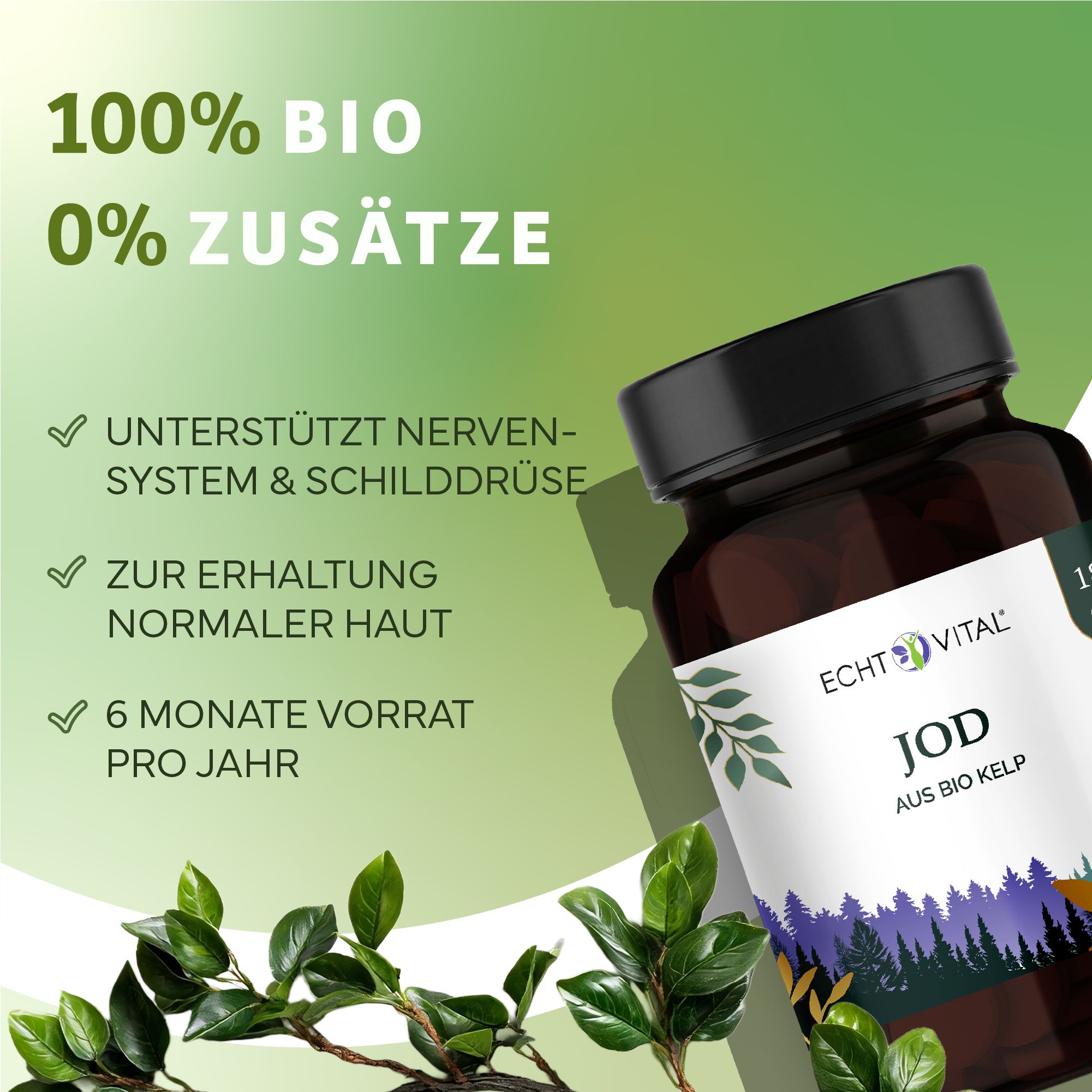 Flacone di vetro marrone con tappo nero. Scritta: Echt Vital Jod aus Bio Kelp. Sfondo verde e bianco con foglie e testo.