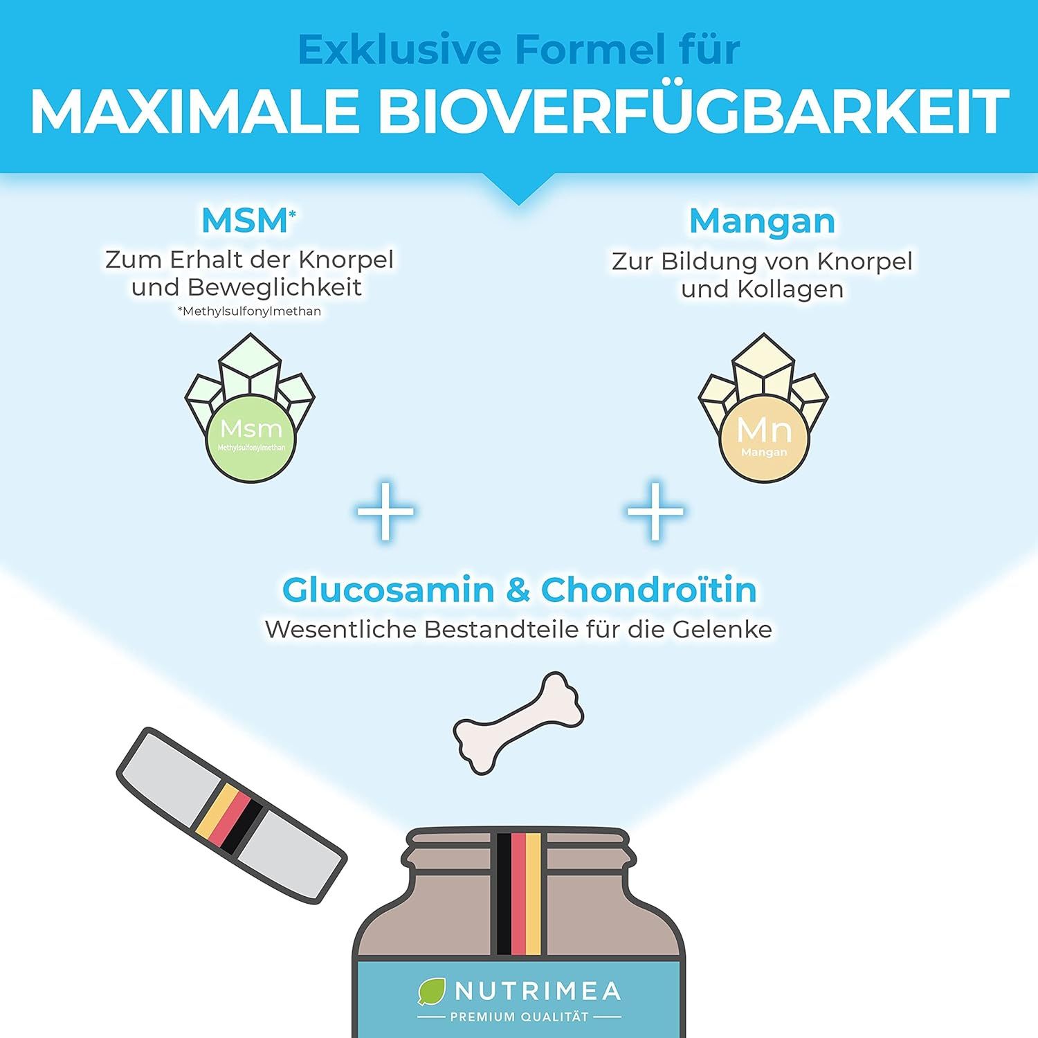 Infografica: MSM, Manganese, Glucosamina & Condroitina. Simbolo osseo. Flacone con bandiera tedesca.
