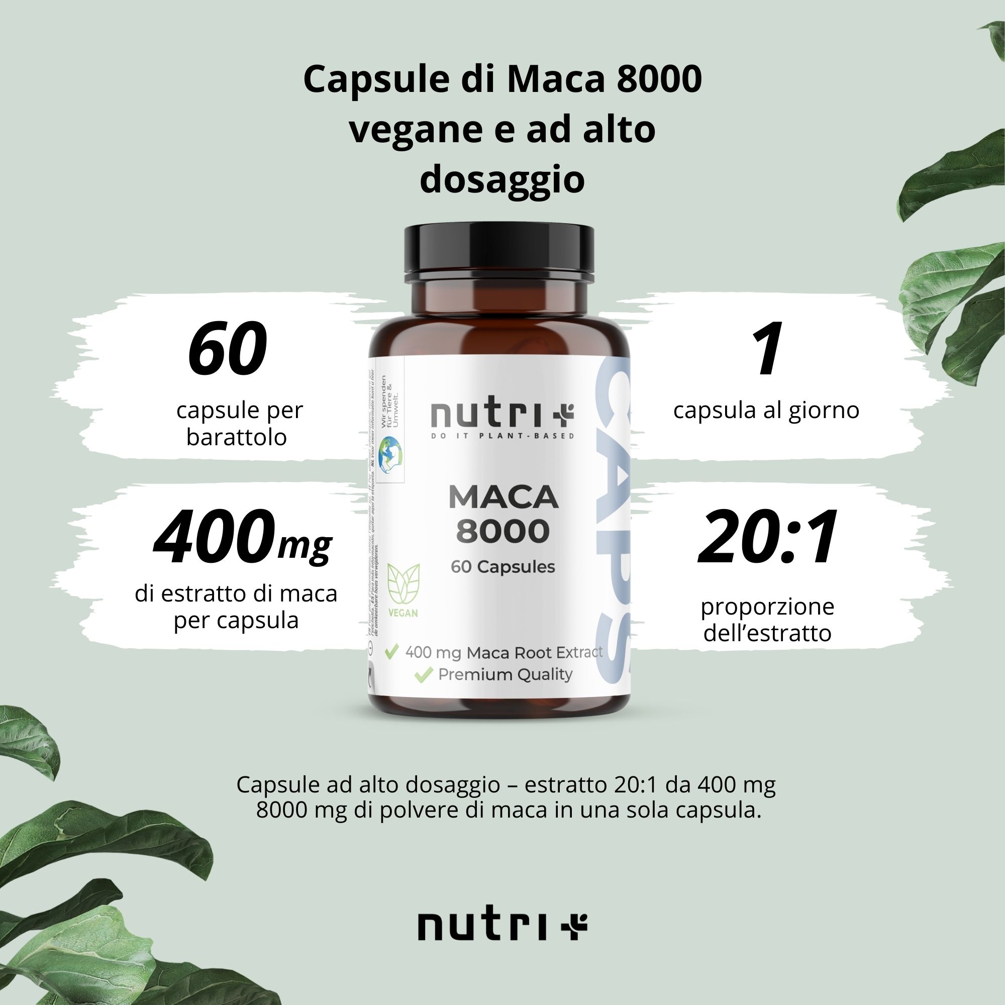 Flacone di capsule. Scritta: Maca 8000, 60 capsule. Testo: 60 capsule, 400mg per capsula, estratto 20:1.