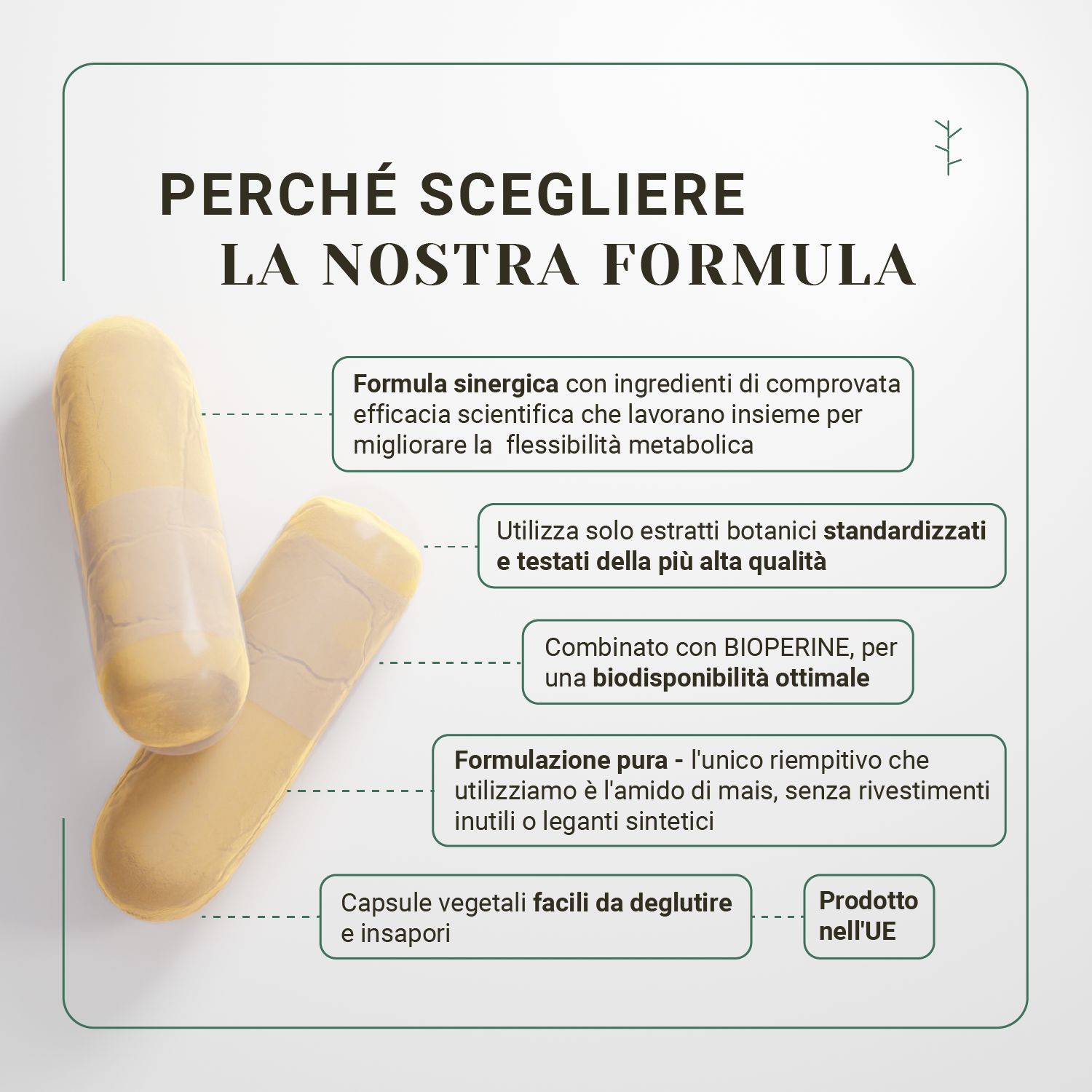 Nullure Quemagrasas + Resveratrol, Té Verde, Cúrcuma, Jengibre