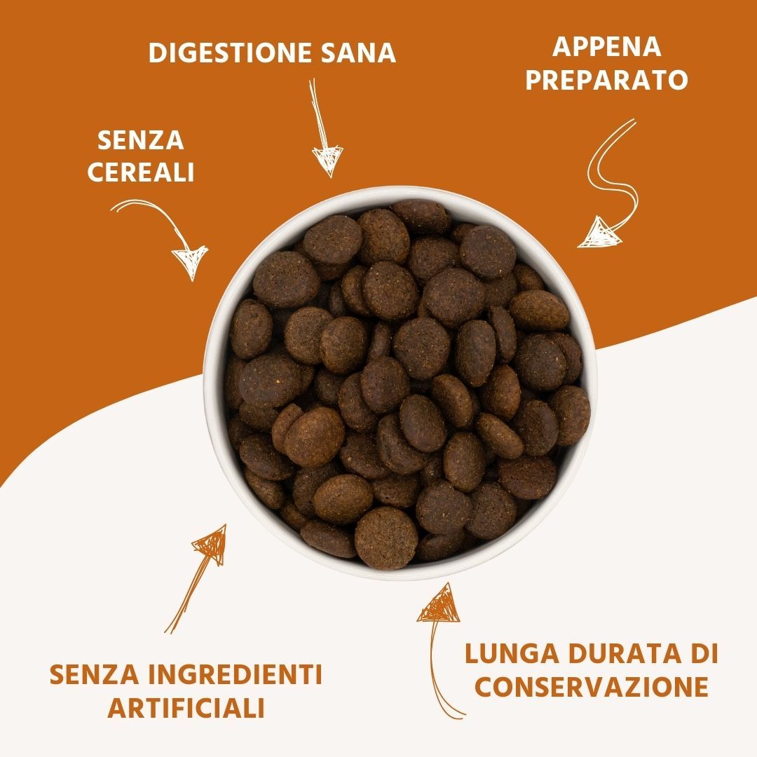 Cibo per cani in ciotola. Testo: Senza cereali, senza ingredienti artificiali, lunga conservazione, appena preparato.