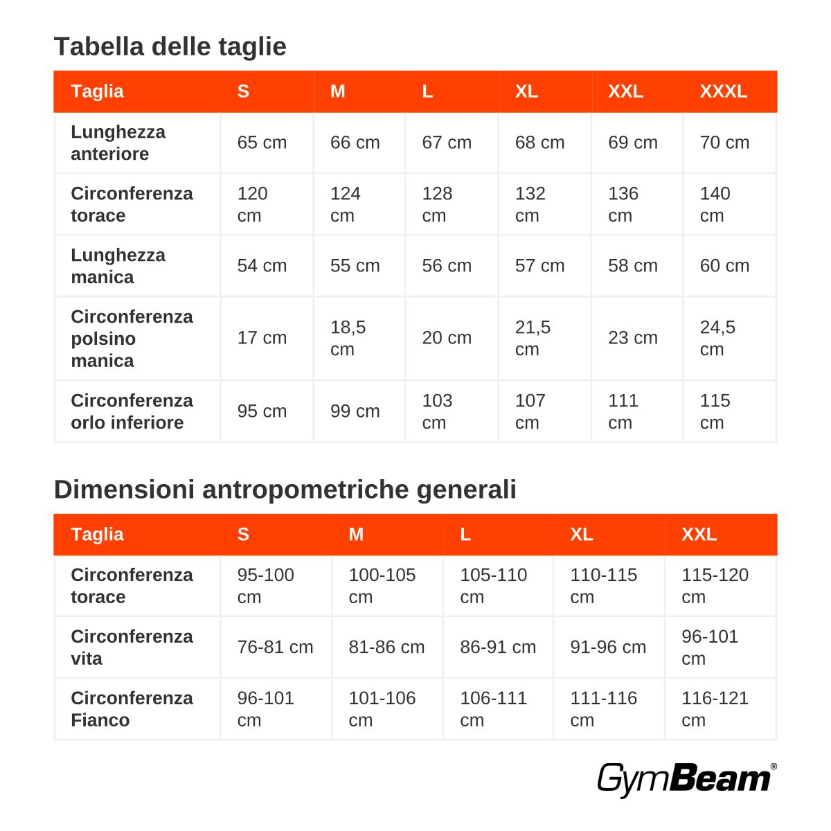 GymBeam Felpa uomo Aura oversize con cappuccio Grey