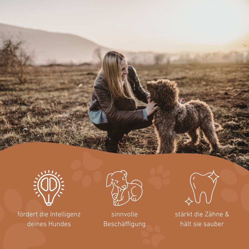 Una donna e un cane all'aperto. Icone: promuove l'intelligenza, occupazione sensata, rafforza i denti.