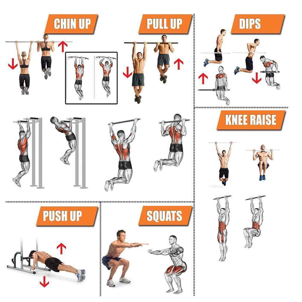 Grafico con esempi di esercizi: trazioni, flessioni, squat, dips, trazioni, flessioni. Illustrazioni di persone che eseguono esercizi.