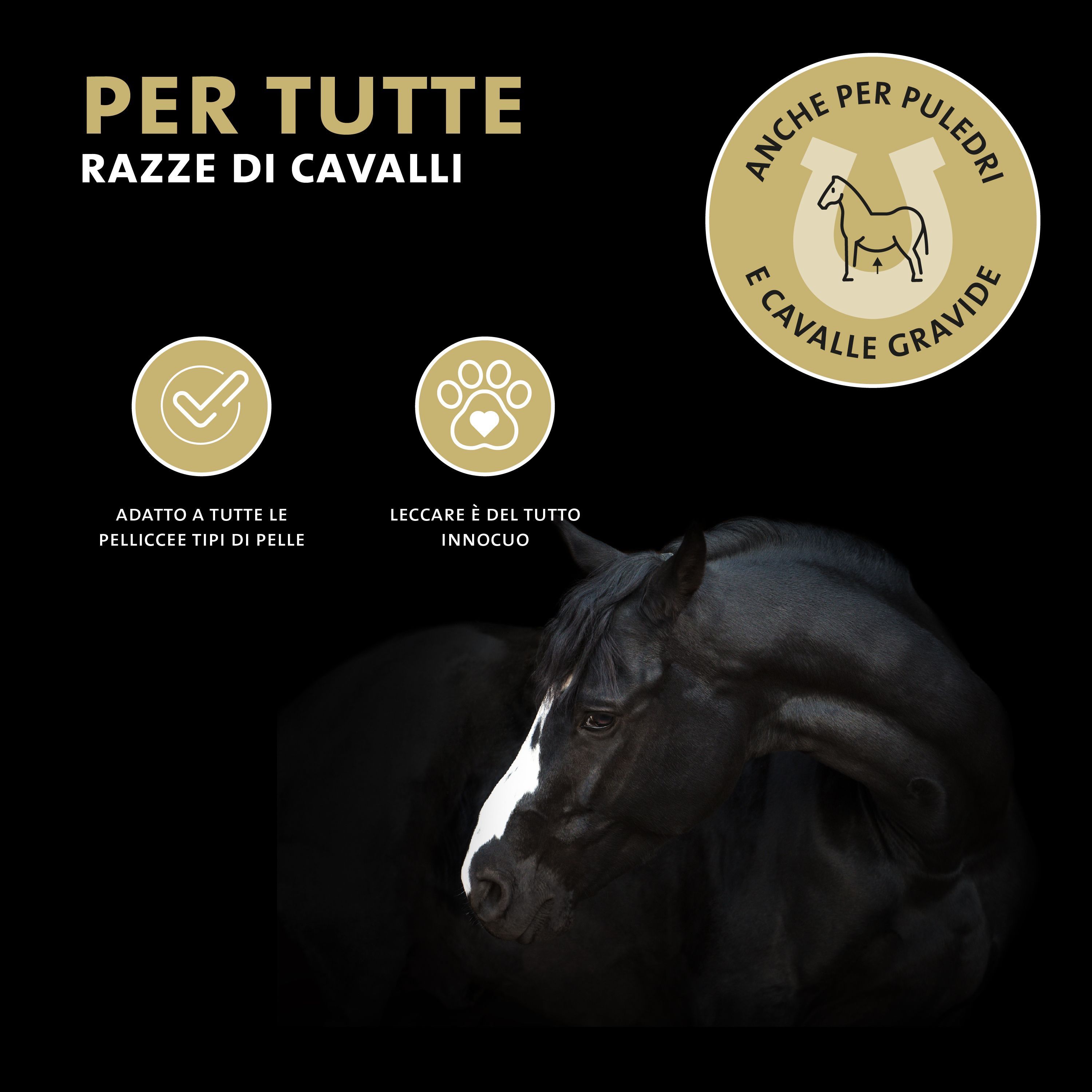 Cavallo nero con stella bianca. Testo: Per tutte le razze di cavalli. Logo: Ferro di cavallo. Adatto a puledri e cavalle gravide.