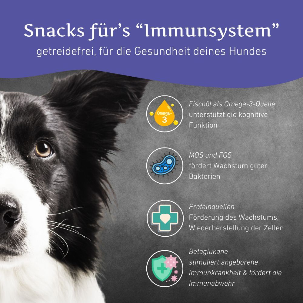 Cane con testo: Snack per il sistema immunitario. Grafici mostrano Omega-3, batteri, proteine, beta-glucani.