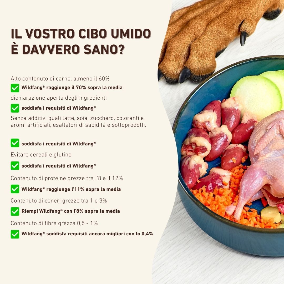 Testo: Il tuo cibo umido è davvero sano? Elenco puntato con segni di spunta verdi. Ciotola con ingredienti e frattaglie.