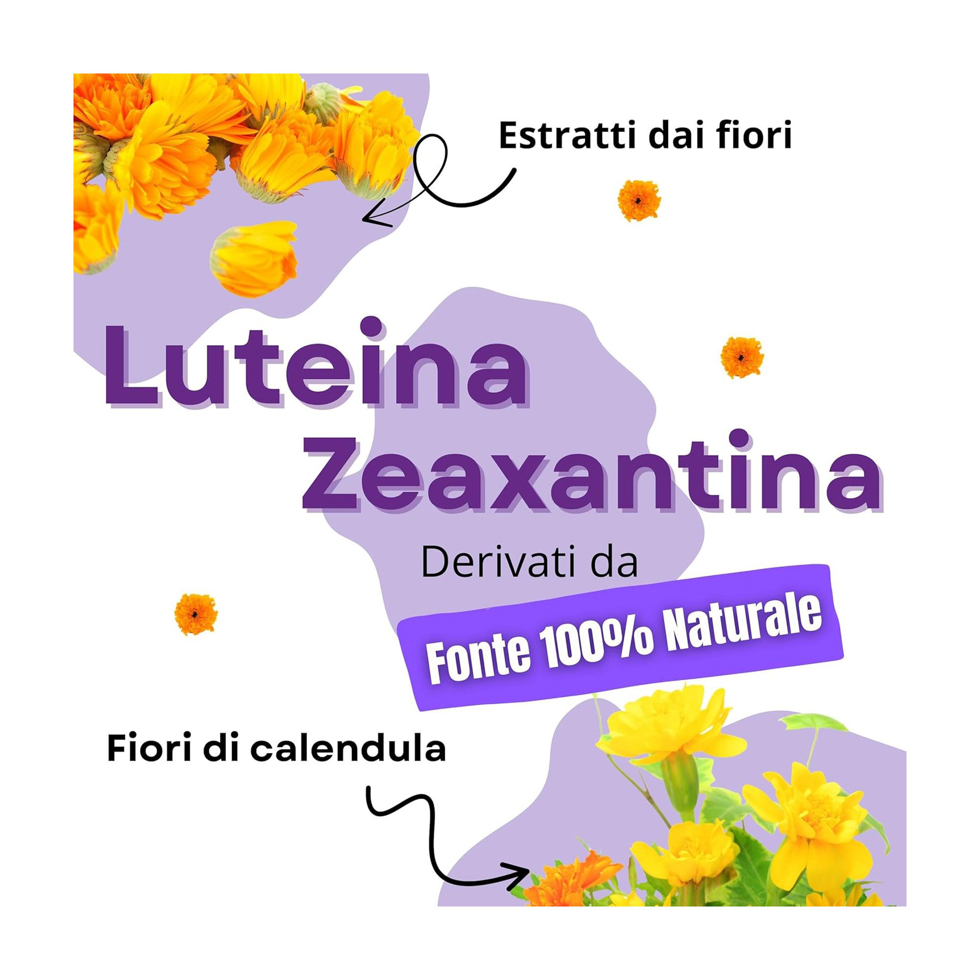 Flacone Poemia Visionsol Complex, 90 capsule, con dettagliate informazioni sull'etichetta.