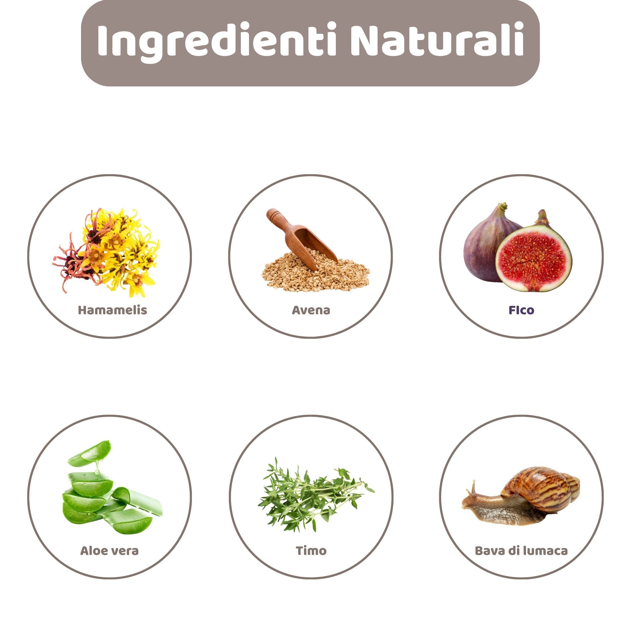 Illustrazioni circolari degli ingredienti: Amamelide, Avena, Fico, Aloe Vera, Timo, Bava di lumaca.