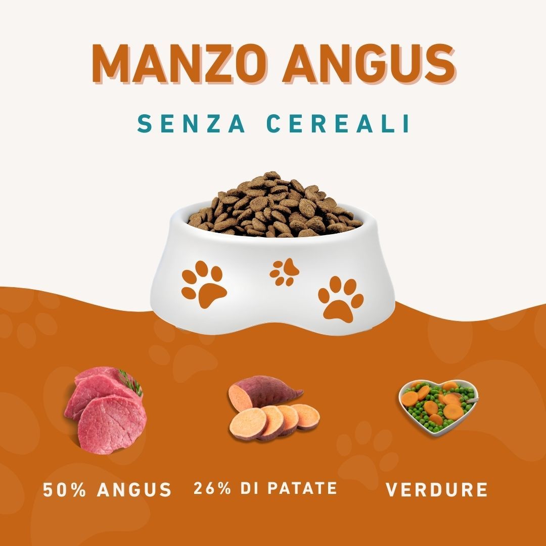 Ciotola di cibo secco per cani. Accanto, carne, fette di patate dolci e verdure. Testo: Manzo Angus senza cereali.