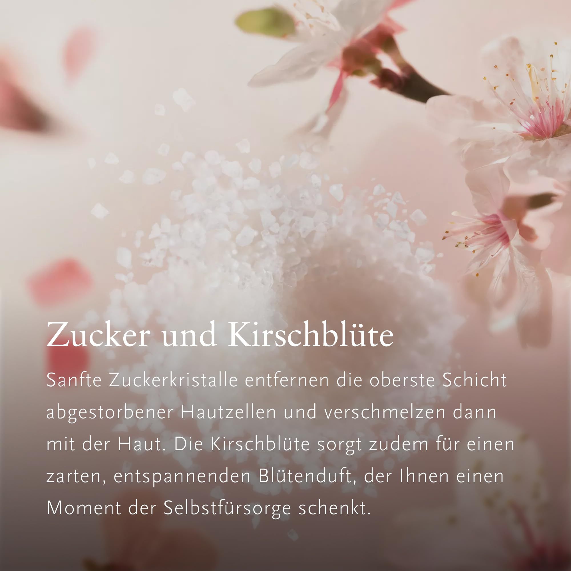 Scrub allo zucchero e fiori di ciliegio. Cristalli di zucchero bianchi, petali rosa, sfondo rosa.