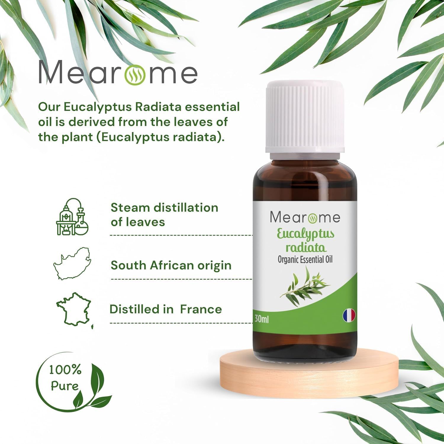 Flacone marrone con tappo bianco. Etichetta con testo. Foglie di eucalipto. Informazioni sull'origine e la produzione.