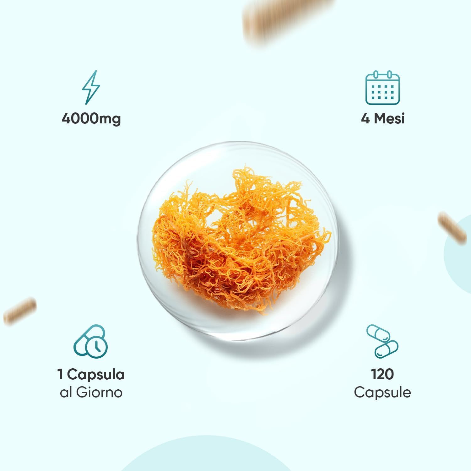 Capsule marroni e simboli: 4000mg, 4 mesi, 1 capsula al giorno, 120 capsule. Muschio marino arancione.