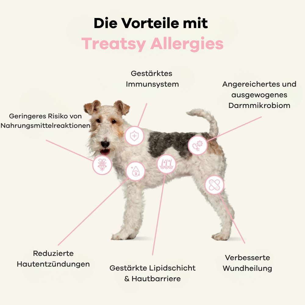 Infografica: Vantaggi con Treatsy Allergies. Cane con cerchi che mostrano i vantaggi: sistema immunitario, pelle.