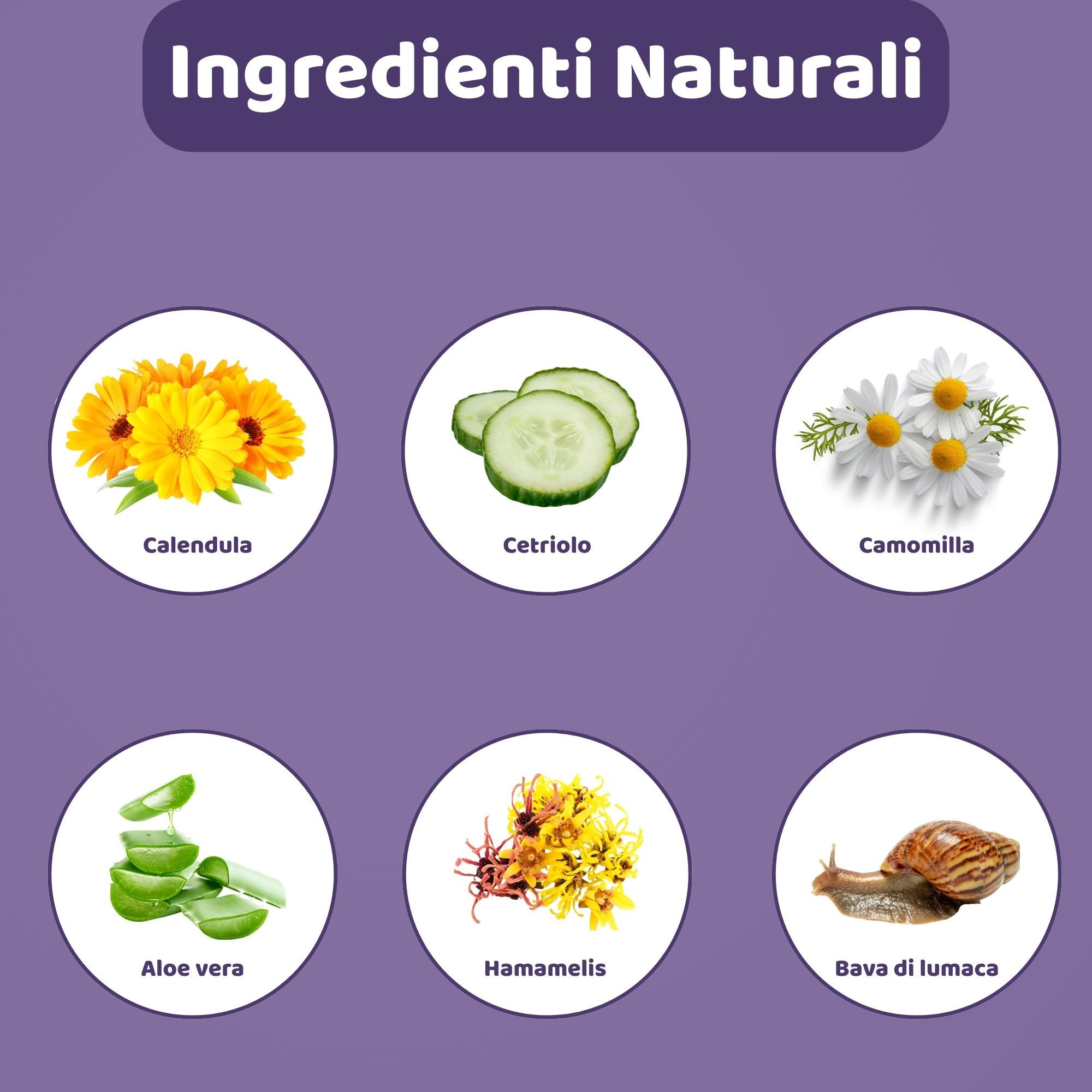 Illustrazioni circolari degli ingredienti: Calendula, cetriolo, camomilla, aloe vera, amamelide, lumaca. Testo: Ingredienti naturali.