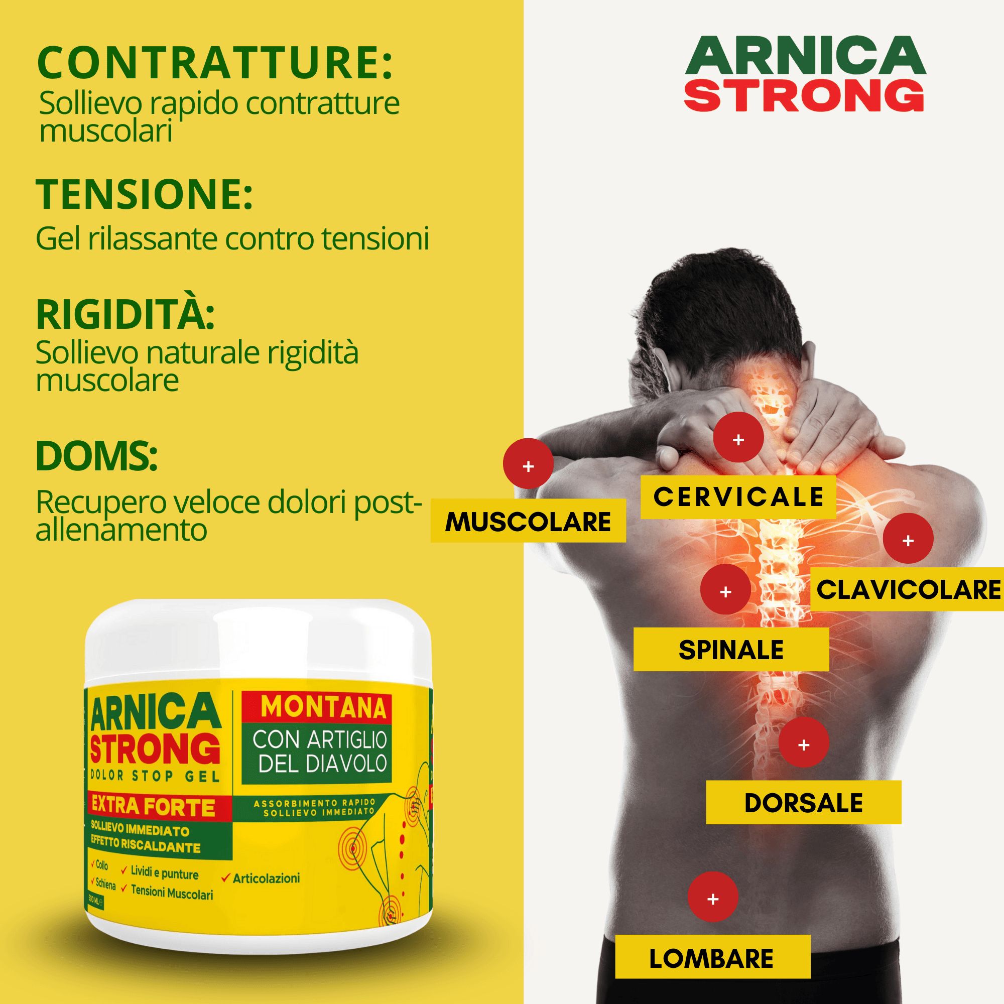 AMBIOPH - Arnica gel Forte - Arnica per cavalli uso amano e l'artiglio Del Diavolo