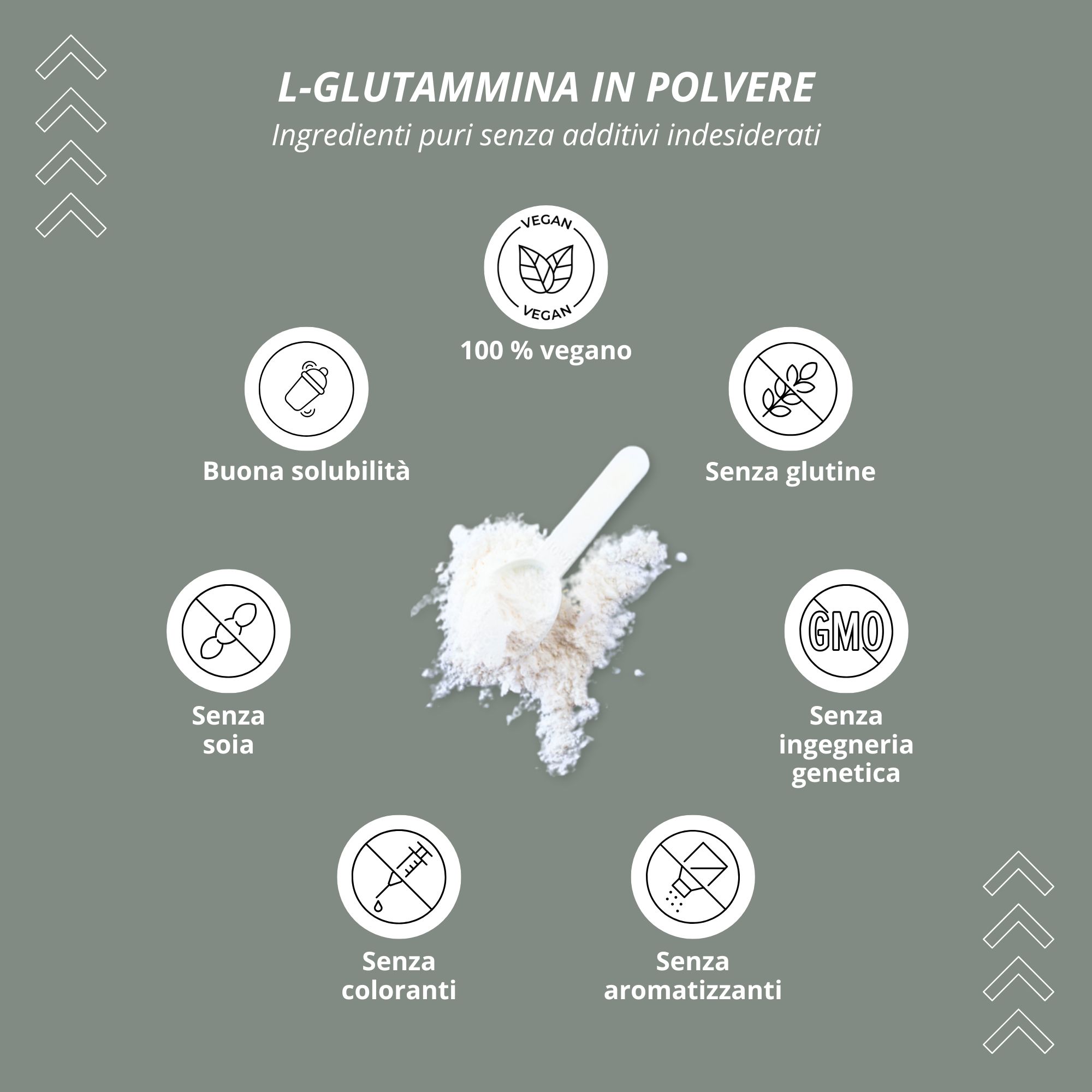 Disposizione circolare di simboli. Vegano, senza glutine, senza OGM, senza soia, senza coloranti, senza aromi.