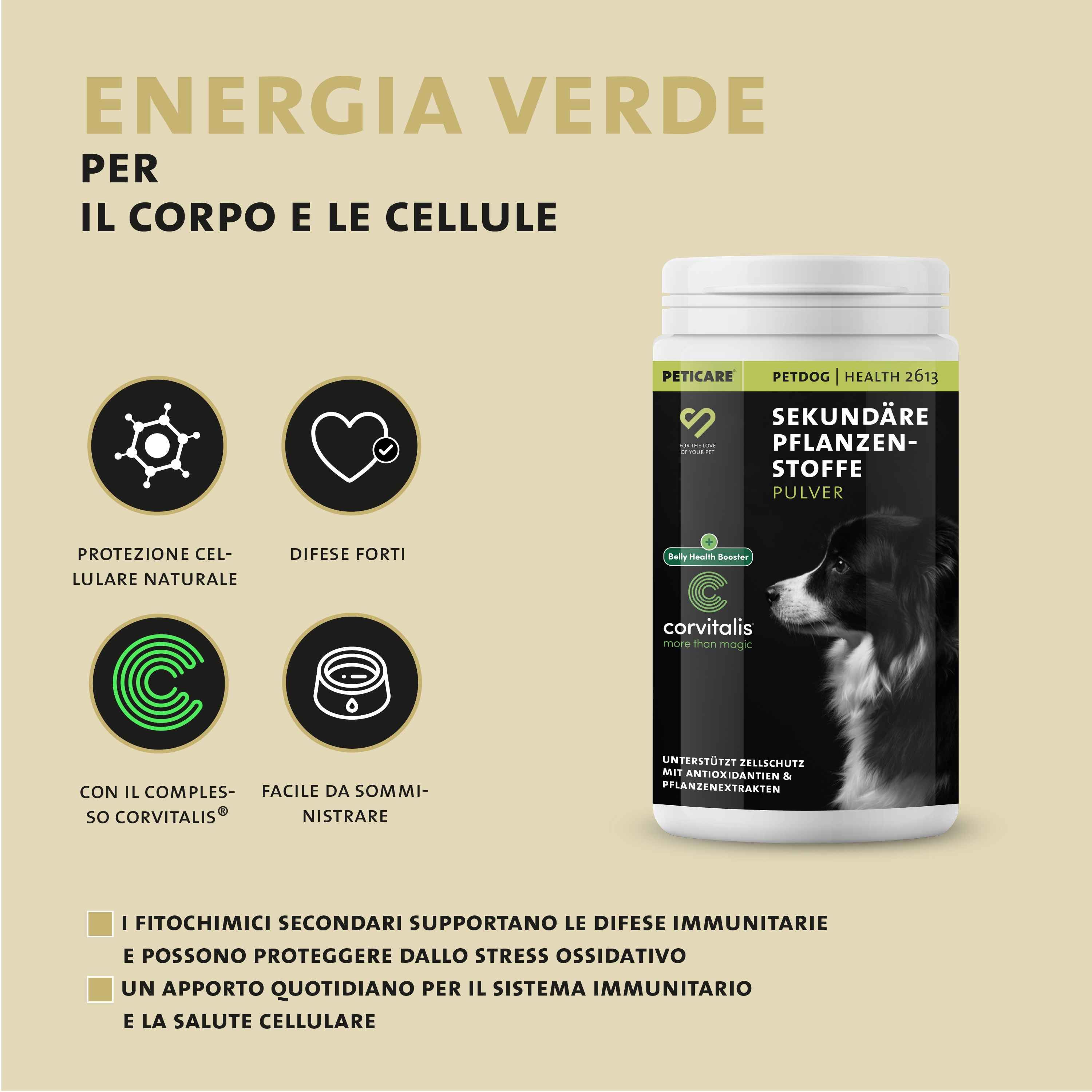 Peticare Polvere di fitocomposti secondari per cani, "Energia Verde".
