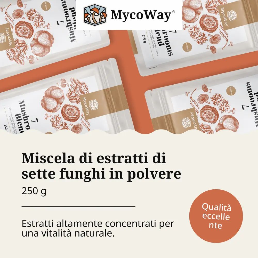 Confezioni del prodotto con testo. Testo: Miscela di estratti di sette funghi in polvere, 250 g. Qualità eccellente.