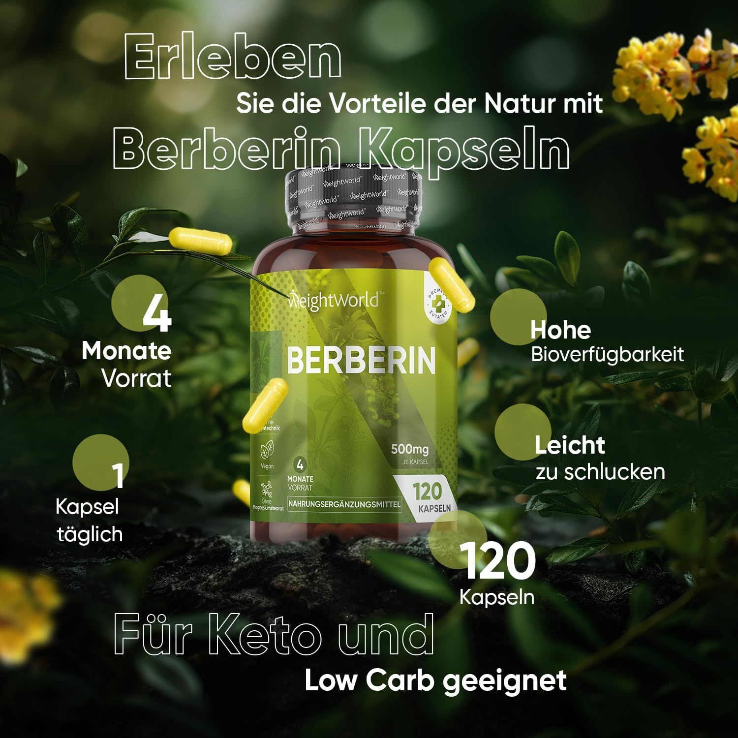 Immagine del prodotto capsule di berberina in bottiglia. Contiene informazioni su ingredienti e caratteristiche.