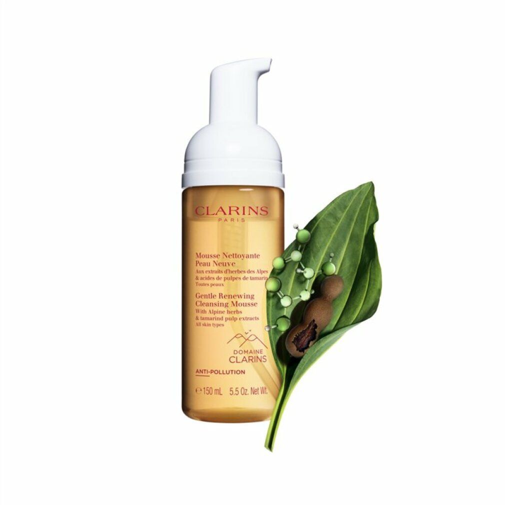 Clarins Gentle Renewing Cleansing Mousse con erogatore a pompa. Accanto, foglia verde con piccoli fiori bianchi e frutti marroni.