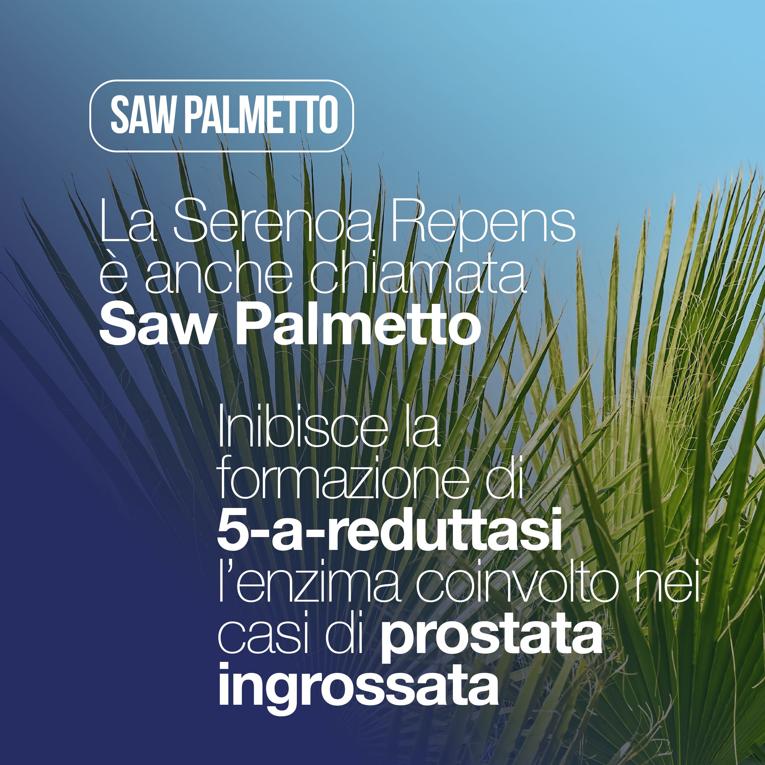LA.GA Prostaman Integratore Prostata Formula Potente