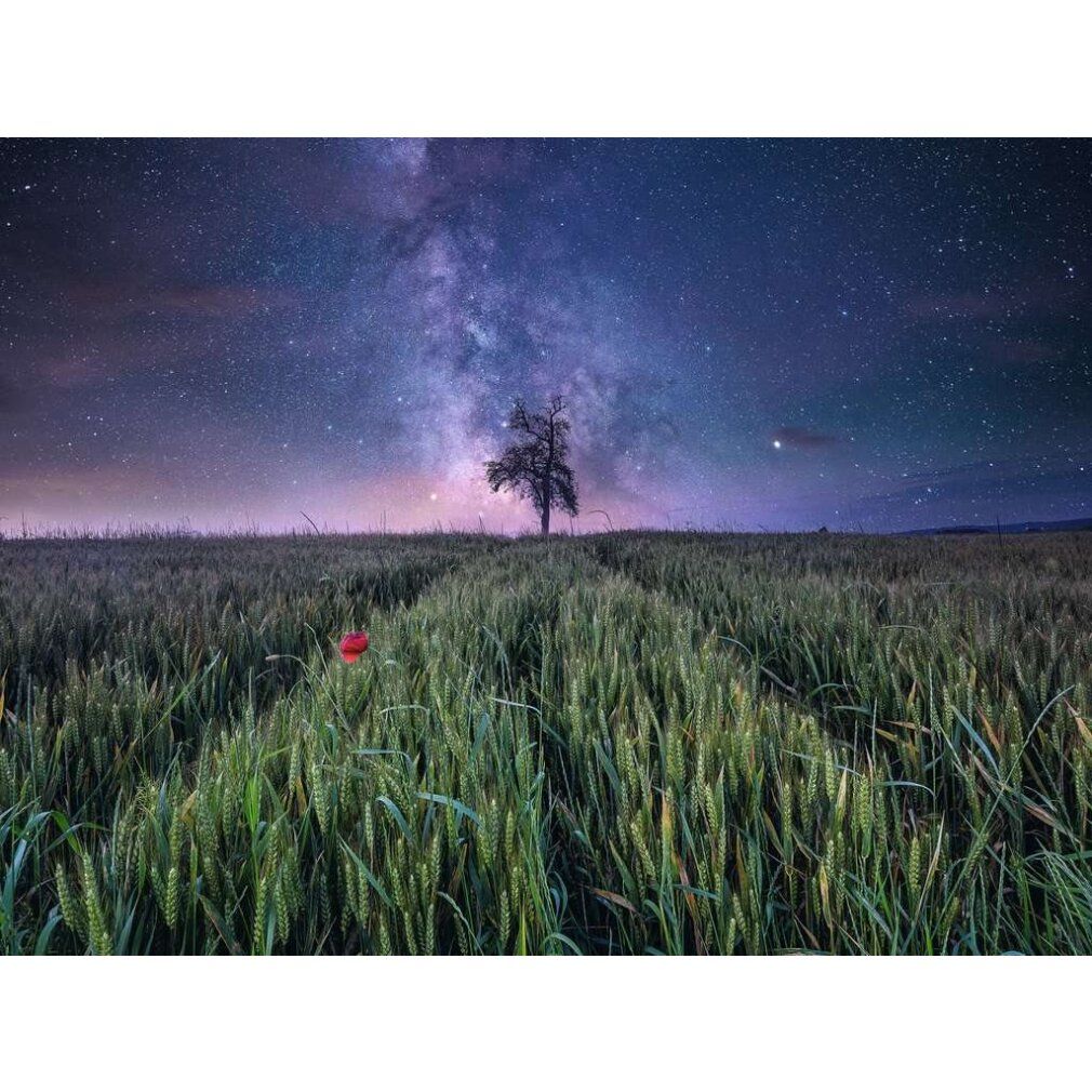 Power of Nature Puzzle Night Sky Over the Corn Field (1500 parti)