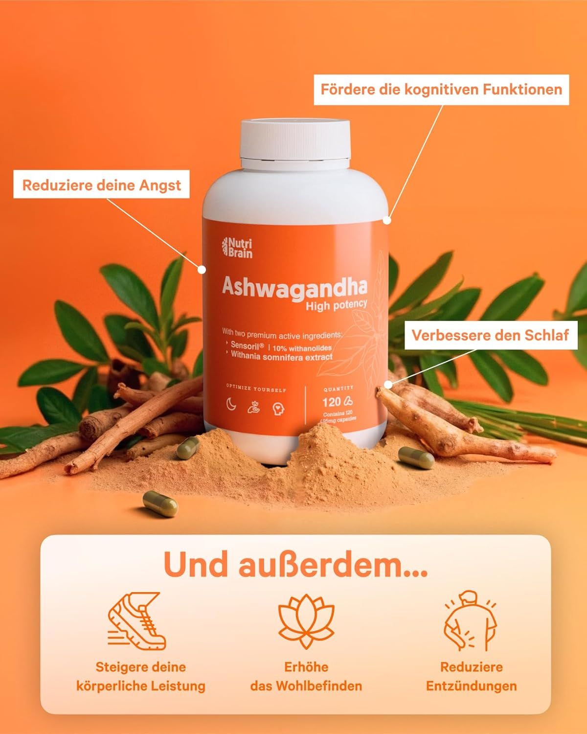 NUTRIBRAIN Capsula di Ashwagandha