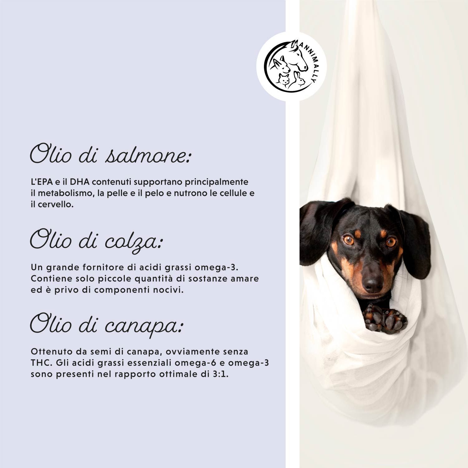 Testo sugli oli: olio di salmone, olio di colza, olio di canapa. Cane in tessuto bianco. Logo con illustrazioni di animali.
