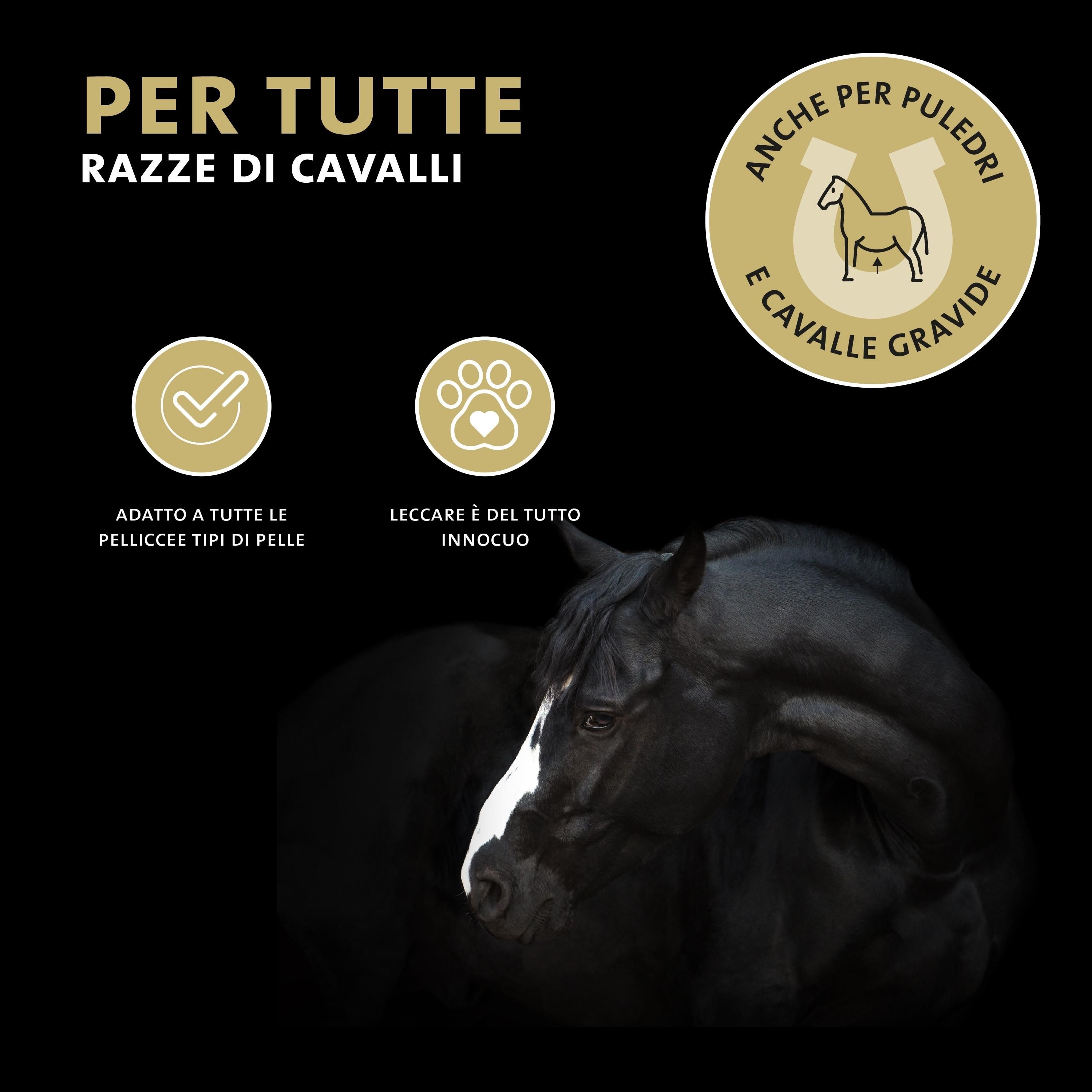 Cavallo nero con segno bianco. Testo: Per tutte le razze di cavalli. Anche per puledri e cavalle gravide. Simboli dorati.