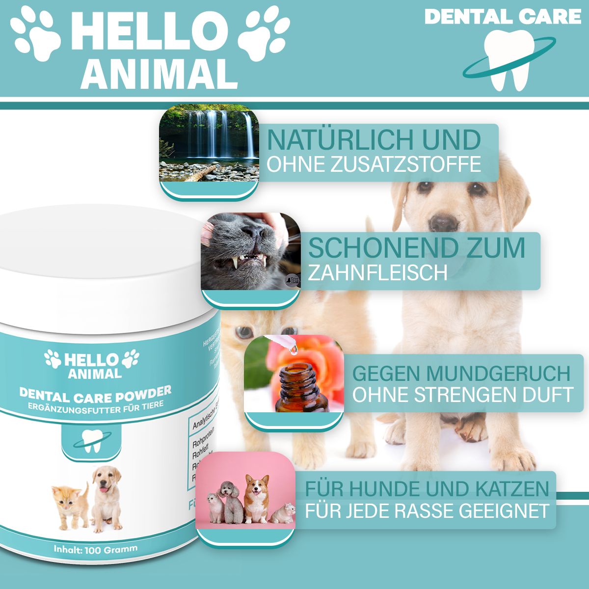 Immagine pubblicitaria con barattolo di prodotto e immagini. Testo: Naturale e senza additivi, delicato sulle gengive, per cani e gatti.